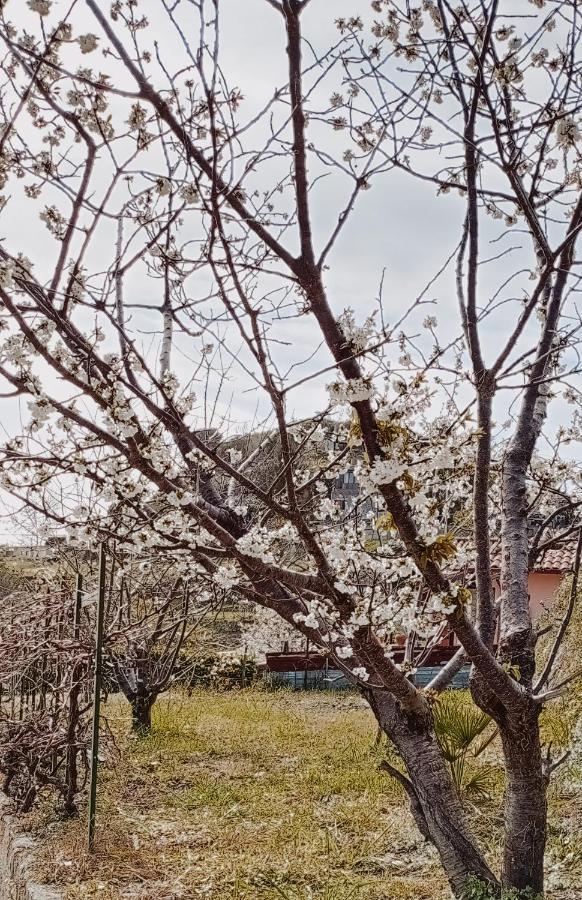 ונטימיגליה Casa Peidaigo Immersa Nel Verde,Vista Mare E Monti מראה חיצוני תמונה