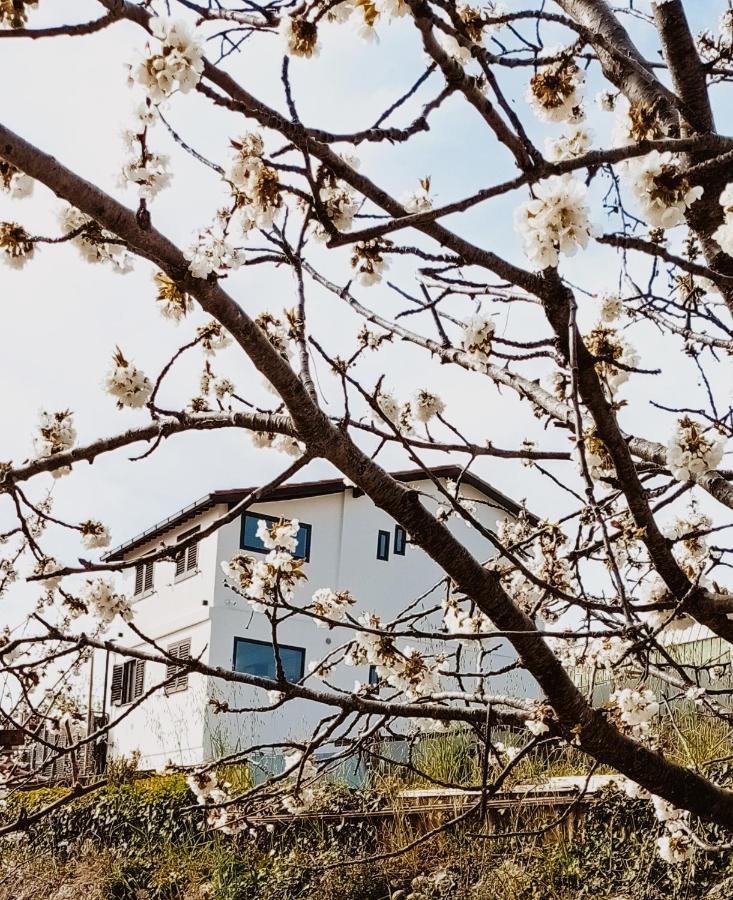 ונטימיגליה Casa Peidaigo Immersa Nel Verde,Vista Mare E Monti מראה חיצוני תמונה